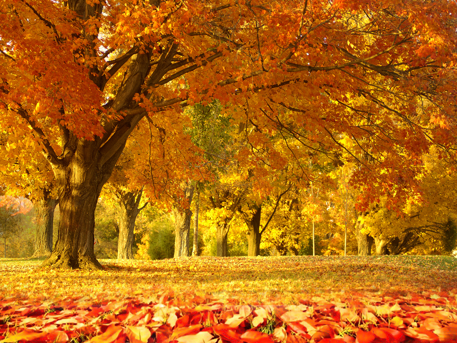 Testing Blog 2